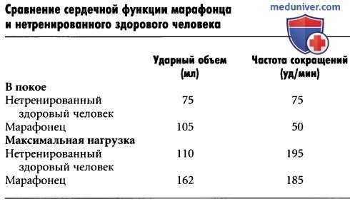 Мышечный кровоток. Гипертрофия сердца при тренировках