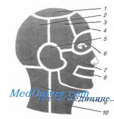 Мышечно-фасциальная дисфункция. Боль при мышечно-фасциальной дисфункции. МФБД