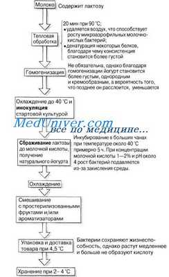 молочнокислое брожение