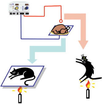 Электротравма