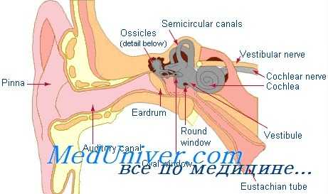 аллергический средний отит