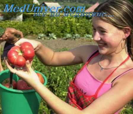 профилактика на даче