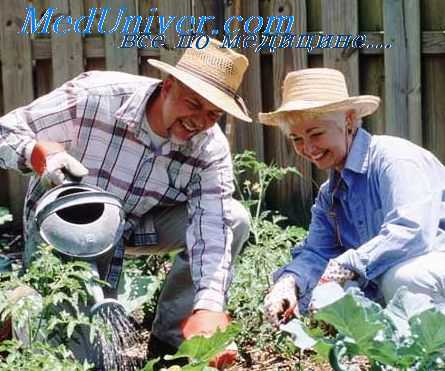 профилактика на даче