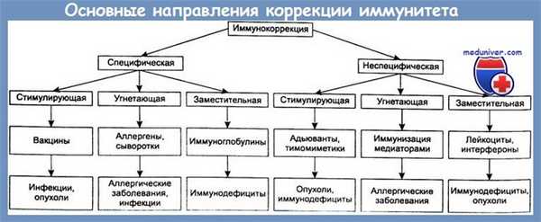 направления коррекции иммунитета