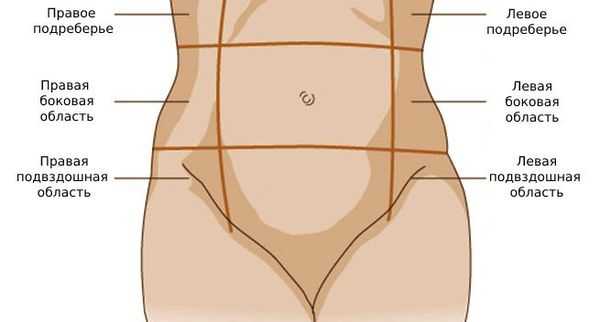 Области живота