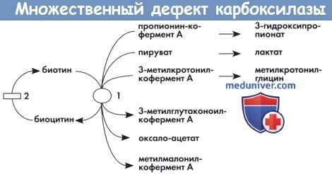 Множественный дефект карбоксилазы