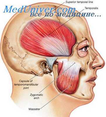 исследование в стоматологии
