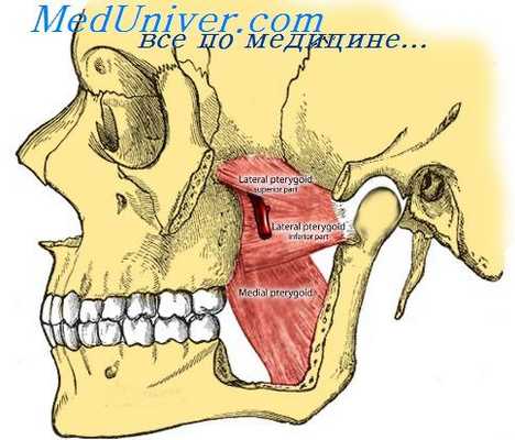 произношение согласных