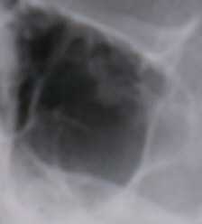 kobblch аватар