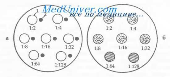 Кровь ребенка по группе крови родителей
