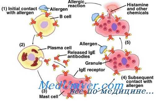аллергии у детей