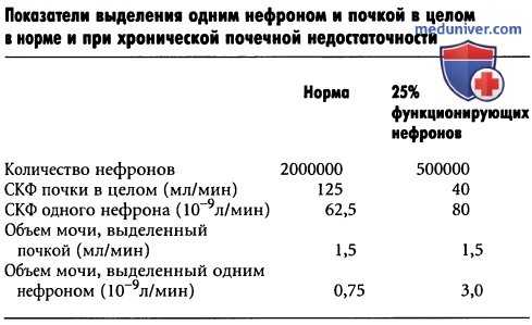 Функция нефронов при хронической почечной недостаточности