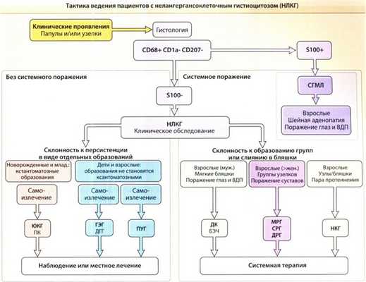 Тактика ведения пациентов с нелангергансоклеточным гистиоцитозом