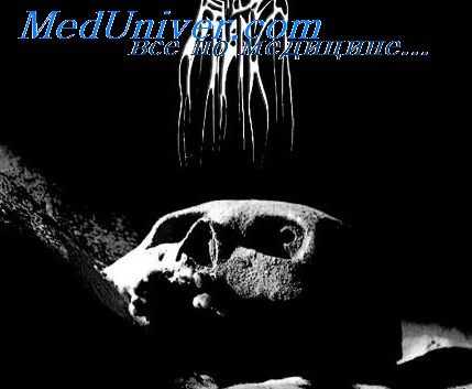 поведение при алкоголизме