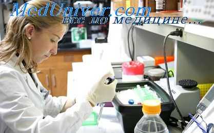 исследование липопротеидов