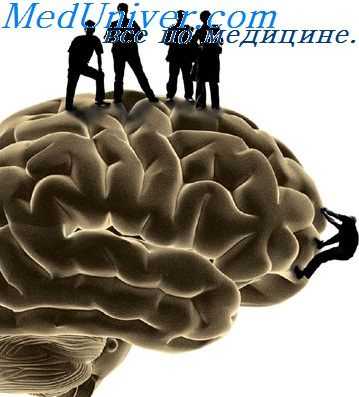 нейроаллергология