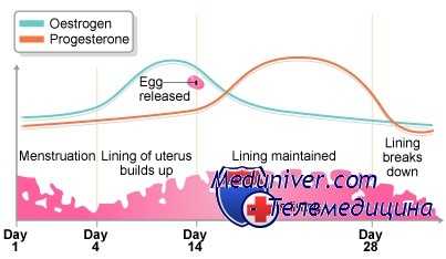 нарушения менструального цикла