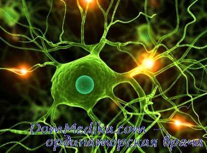 цероид-липофусционозы у детей