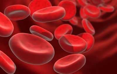 Кровяные тельца крови