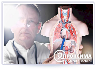 пищевод