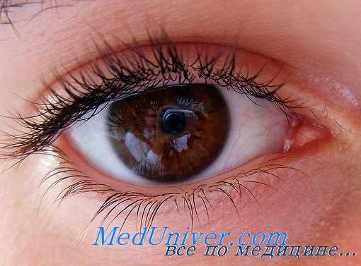 конъюнктива глаз