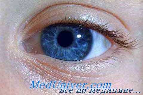 микрофлора конъюнктивы глаз