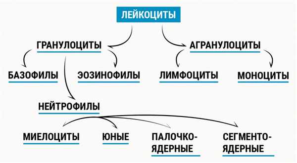 Таблица 5.jpg