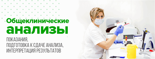 Общеклинические анализы: показания, подготовка к сдаче анализа, интерпретация результатов