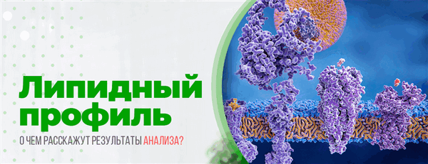 Липидный профиль крови: основные показатели, нормы, расшифровка результатов