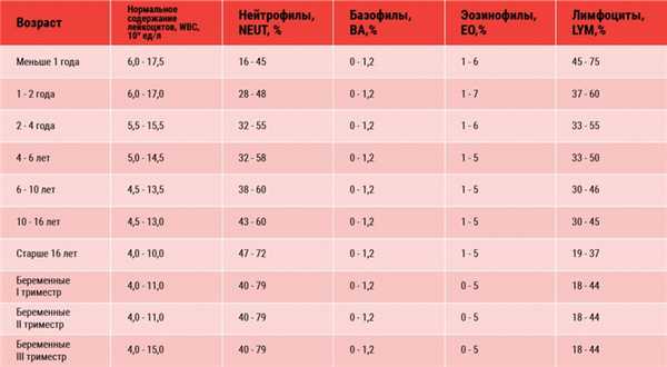 Таблица 6.jpg