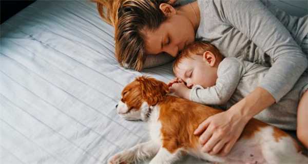 Норма - одна для всех?