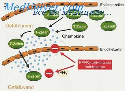 туберкулин при саркоидозе