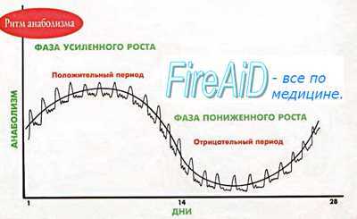 Обмен веществ и энергии. Питание. Анаболизм. Катаболизм.