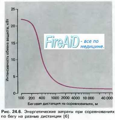 Обмен веществ и энергии. Питание. Анаболизм. Катаболизм.