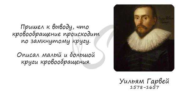 Уильям Гарвей