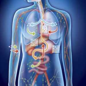 Симптомы закисления организма — это важно знать!