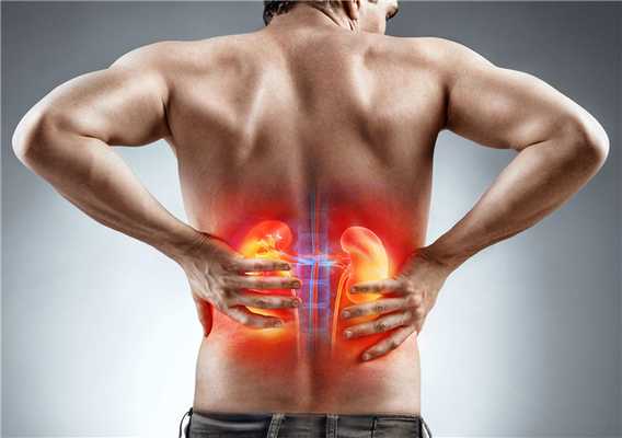 Патогенез почечных отеков