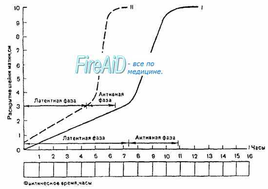 Влагалищное исследование при родах. Мониторинг течения родов. Ведение портограммы.