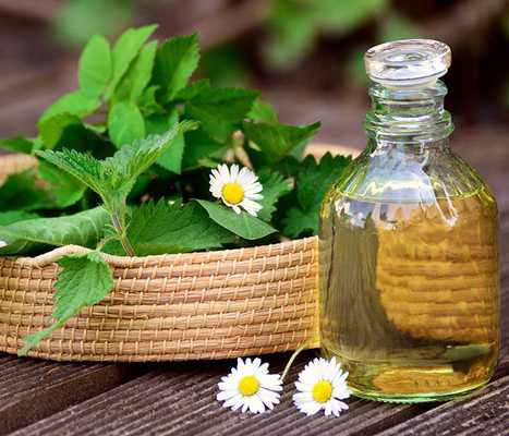 Настой крапивы. Фото: Pixabay