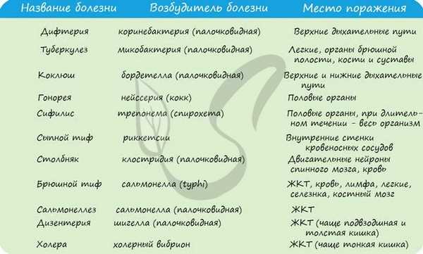 Бактериальные инфекции