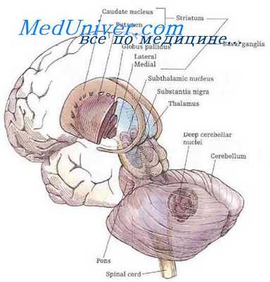 поражение базальных ганглиев