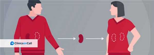 пересадка-печени-и-почек