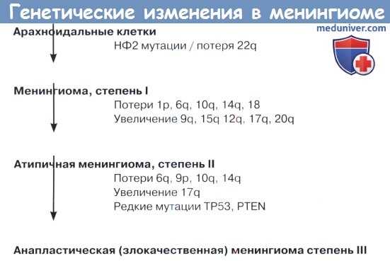 Генетические изменения в менингиоме