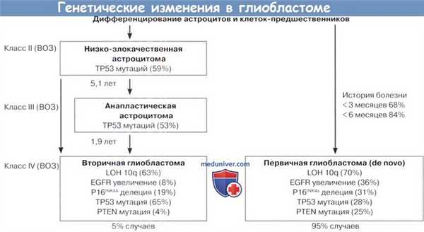 Генетические изменения в глиобластоме