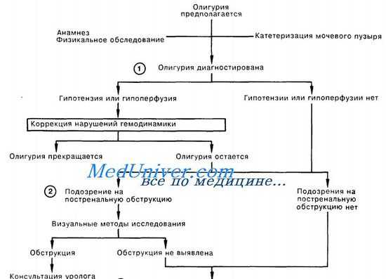 неотложная помощь при олигурии
