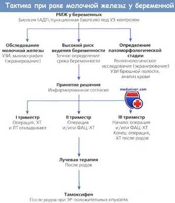 Тактика при раке молочной железы у беременной
