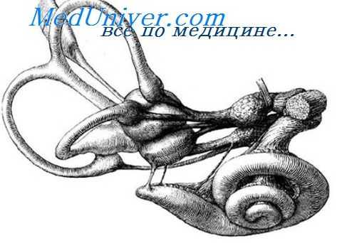 лабиринтит