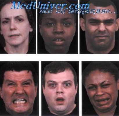 эмоциональная экспрессия