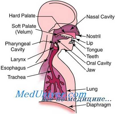 спирометрия