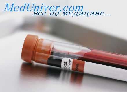 фракции сыворотки крови